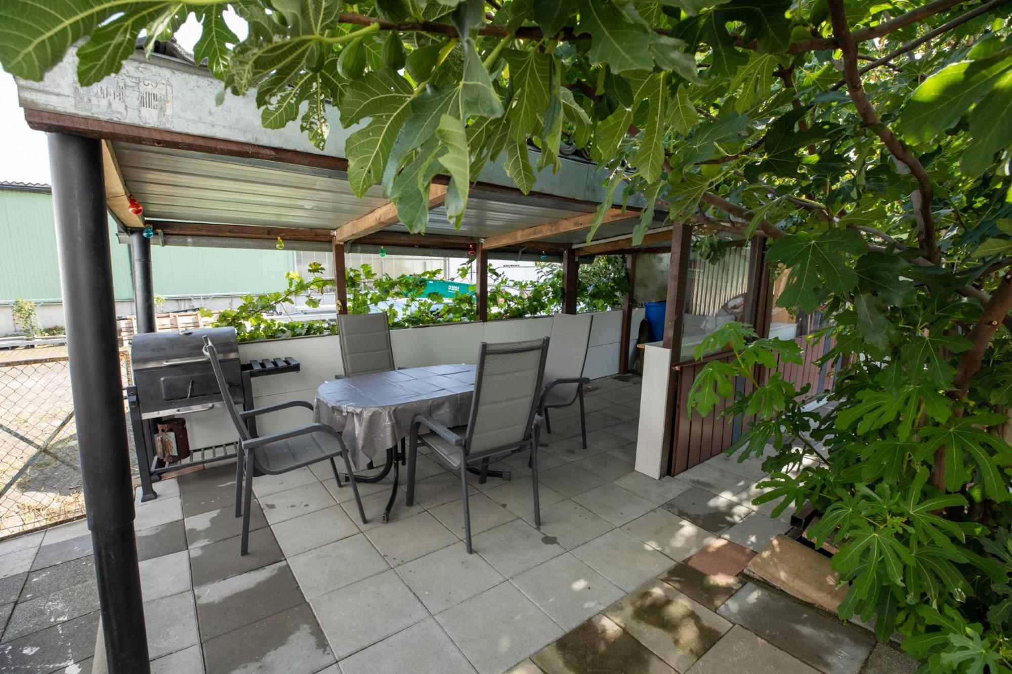 אלברוק Hochrhein Ferienwohnung מראה חיצוני תמונה