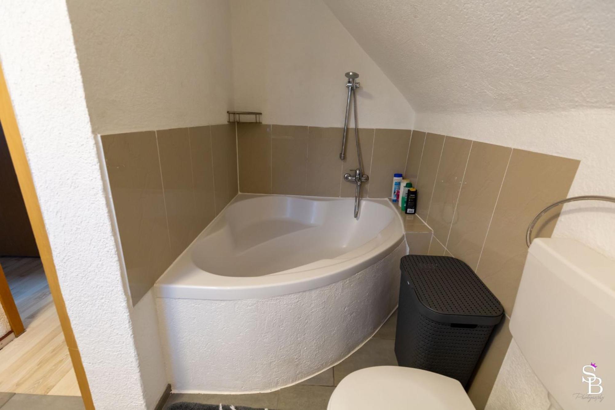 אלברוק Hochrhein Ferienwohnung מראה חיצוני תמונה